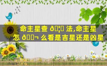 命主星查 🦈 法,命主星怎 🐬 么看是吉星还是凶星